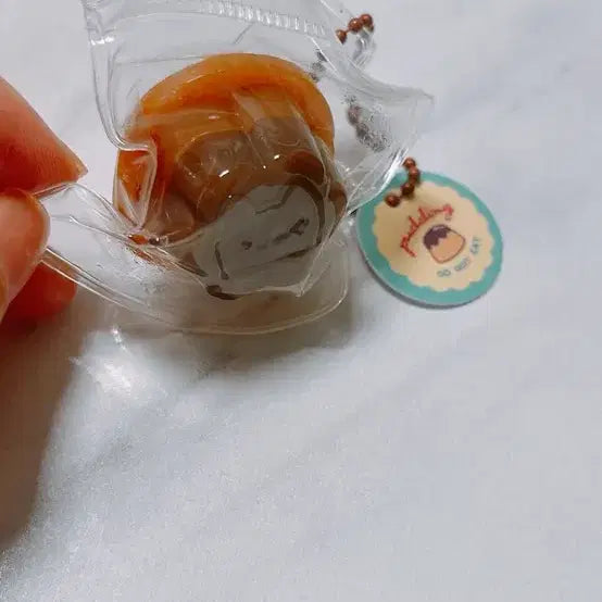 [BUNJANG] Puniwa &amp; Pudding Mini Pudding Toy / 푸니카와 푸딩 말랑이(?) 초콜릿푸딩 새상품