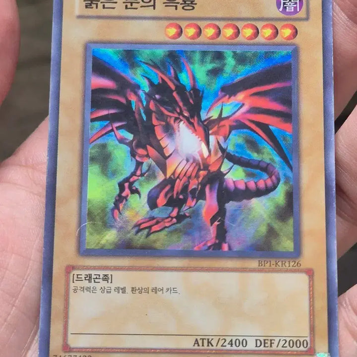 [BUNJANG] Yu-Gi-Oh! Red-Eyes Black Dragon Super Rare / 유희왕 붉은 눈의 흑룡 슈레