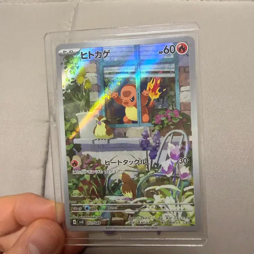 [BUNJANG] Pokemon Card Special Deck Window Charmander / 포켓몬 카드 스페셜덱 창문 파이리 일판