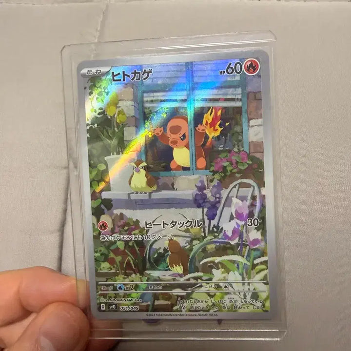 [BUNJANG] Pokemon Card Special Deck Window Charmander / 포켓몬 카드 스페셜덱 창문 파이리 일판