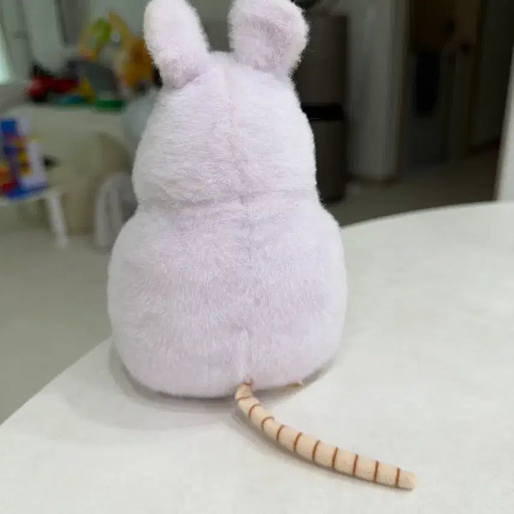 [BUNJANG] Studio Ghibli Boh Plush Toy / 지브리 보우