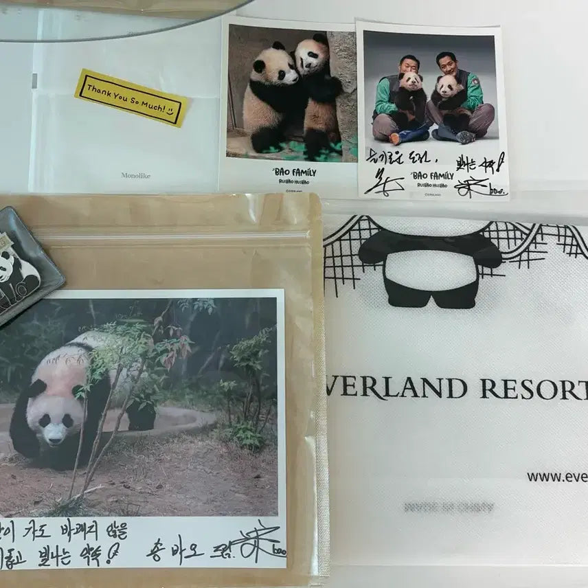 [BUNJANG] Seha Limited Edition Badge Photo Pouch / 루이후이 한정판