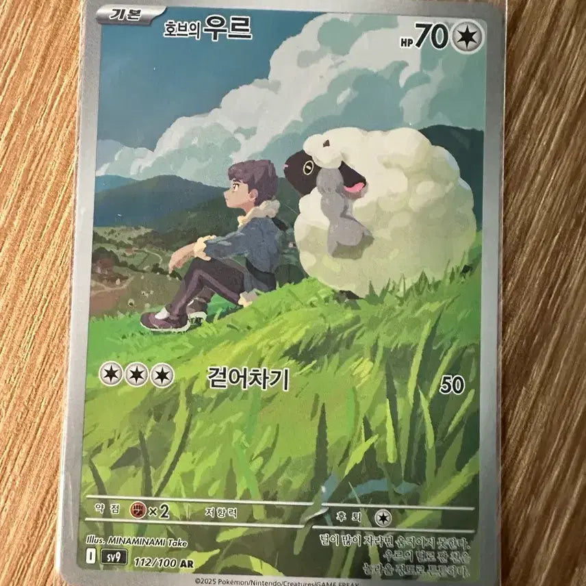 [BUNJANG] Pokemon Card Ur AR / 포켓몬카드 호브의 우르 ar