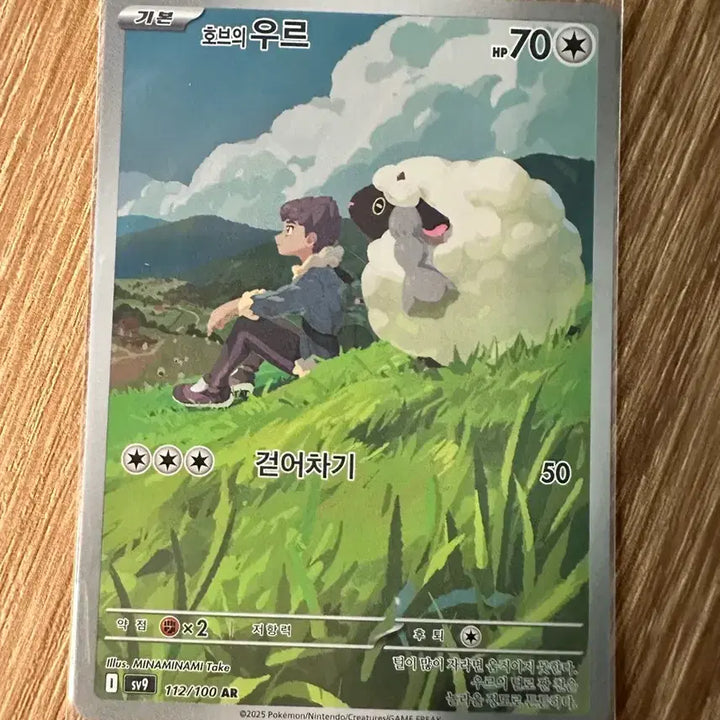 [BUNJANG] Pokemon Card Ur AR / 포켓몬카드 호브의 우르 ar