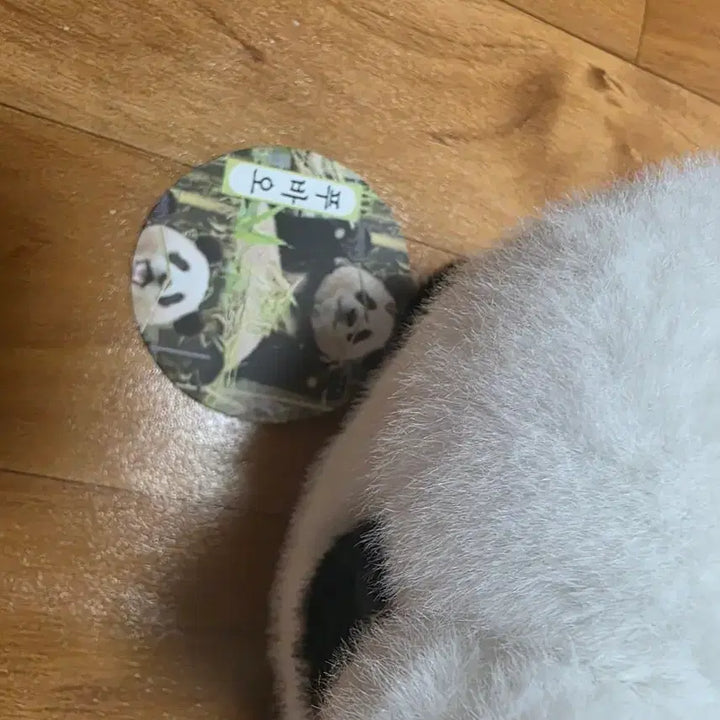 [BUNJANG] Fu Bao Panda Plush Doll / 푸바오 판다봉제인형