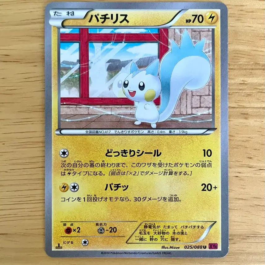 [BUNJANG] Pokemon Card Pachirisu XY 025/088 Phantom Gate / 일판 포켓몬카드 팬텀게이트 파치리스 XY 025/088