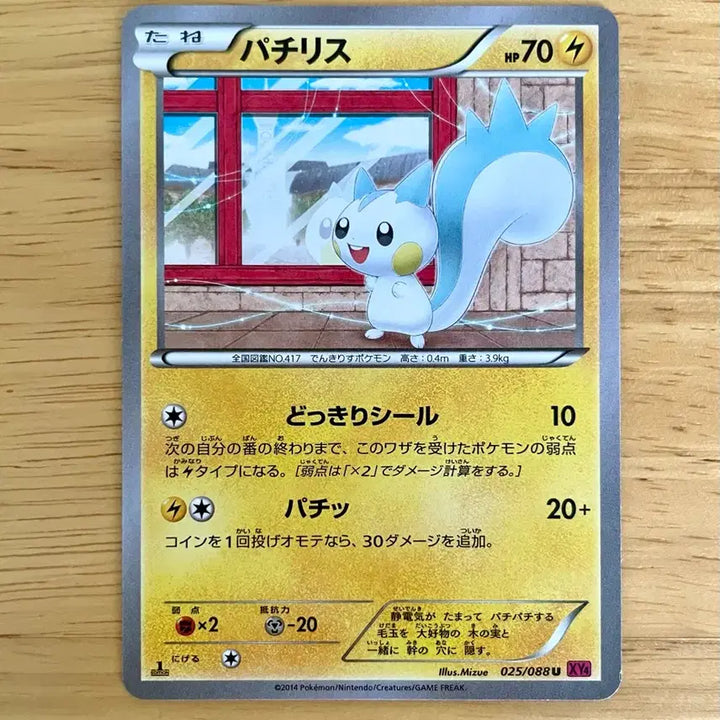 [BUNJANG] Pokemon Card Pachirisu XY 025/088 Phantom Gate / 일판 포켓몬카드 팬텀게이트 파치리스 XY 025/088