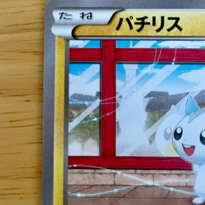 [BUNJANG] Pokemon Card Pachirisu XY 025/088 Phantom Gate / 일판 포켓몬카드 팬텀게이트 파치리스 XY 025/088