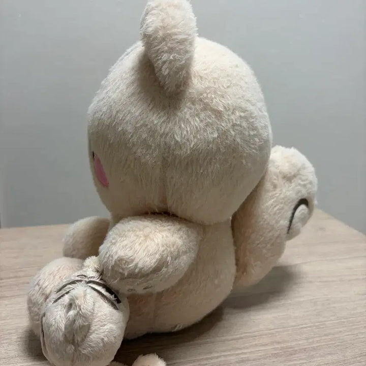 [BUNJANG] Red Velvet Wendy Wangramji Jakramji Doll / 왕람찌,작람찌 양도합니다.