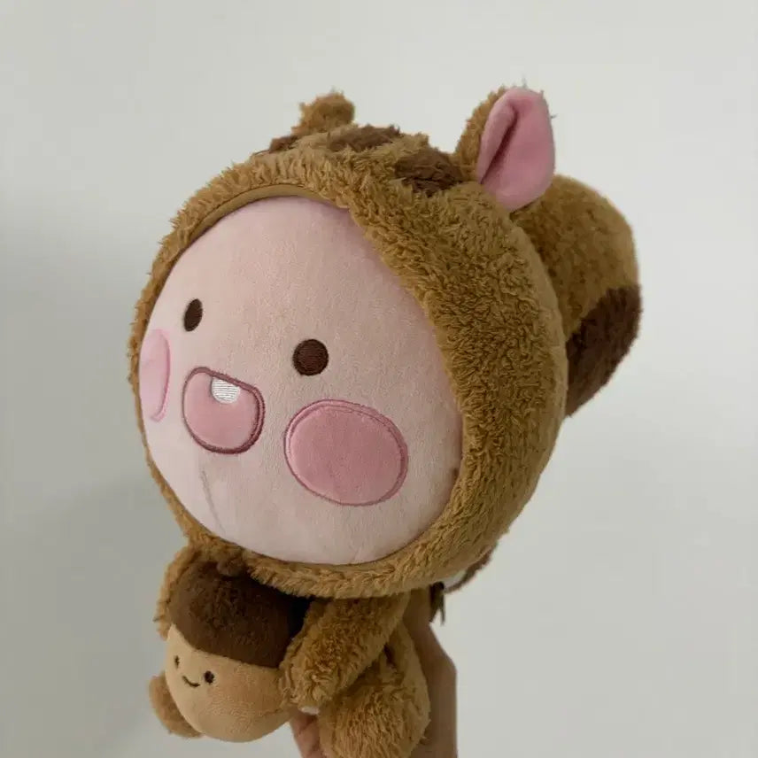 [BUNJANG] Kakao Friends Apeach Squirrel Autumn Limited Edition Plush / 어피치 다람쥐 카카오프렌즈 가을 한정판