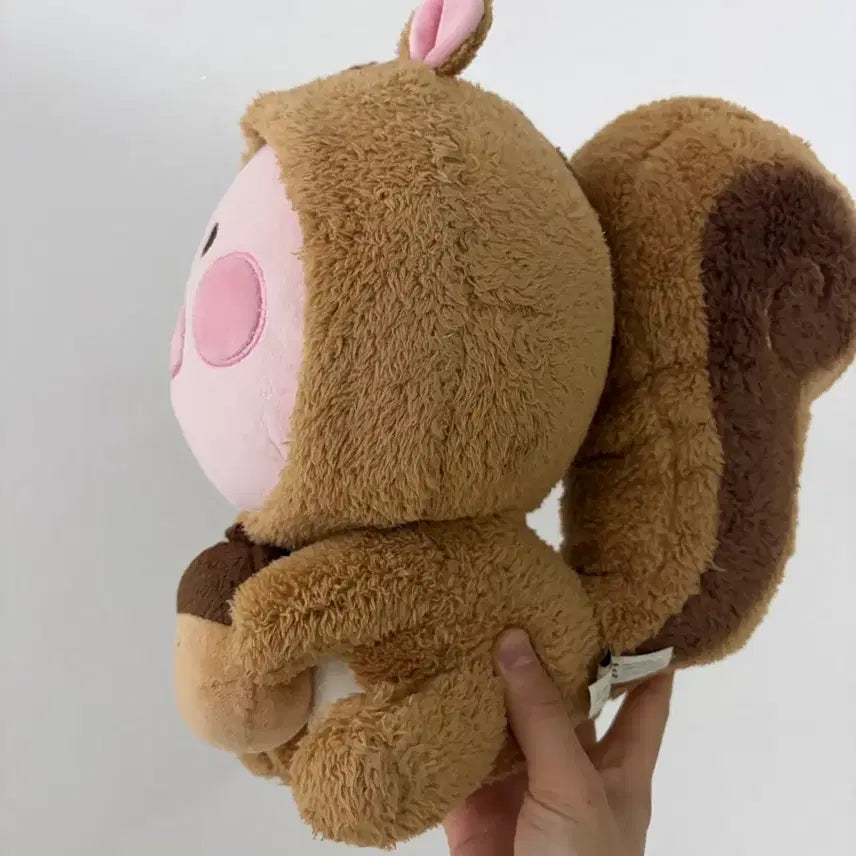 [BUNJANG] Kakao Friends Apeach Squirrel Autumn Limited Edition Plush / 어피치 다람쥐 카카오프렌즈 가을 한정판