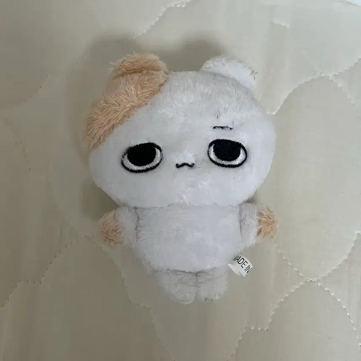 [BUNJANG] ENHYPEN Heeseung Evan Myomyohi Doll / (전)엔하이픈 희승 에반 묘묘히