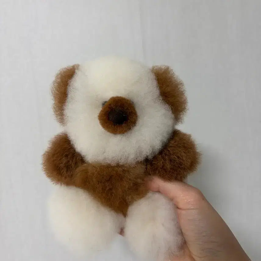[BUNJANG] Combaly Alpaca Teddy Bear Limited Edition / 컴발리 알파카 곰인형 한정판