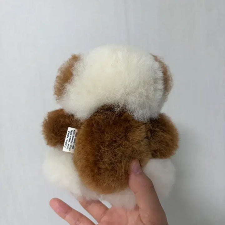 [BUNJANG] Combaly Alpaca Teddy Bear Limited Edition / 컴발리 알파카 곰인형 한정판