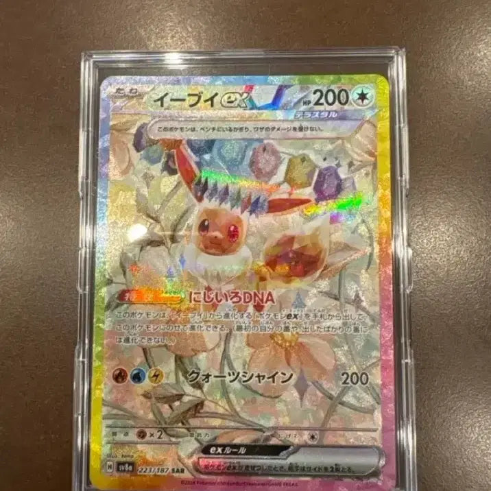 [BUNJANG] Umbreon EX SAR (Japanese) &amp; Eevee EX SAR (Japanese) Bundle Set / 블래키 EX SAR 일판,이브이 EX SAR 일판 일괄판매합니다