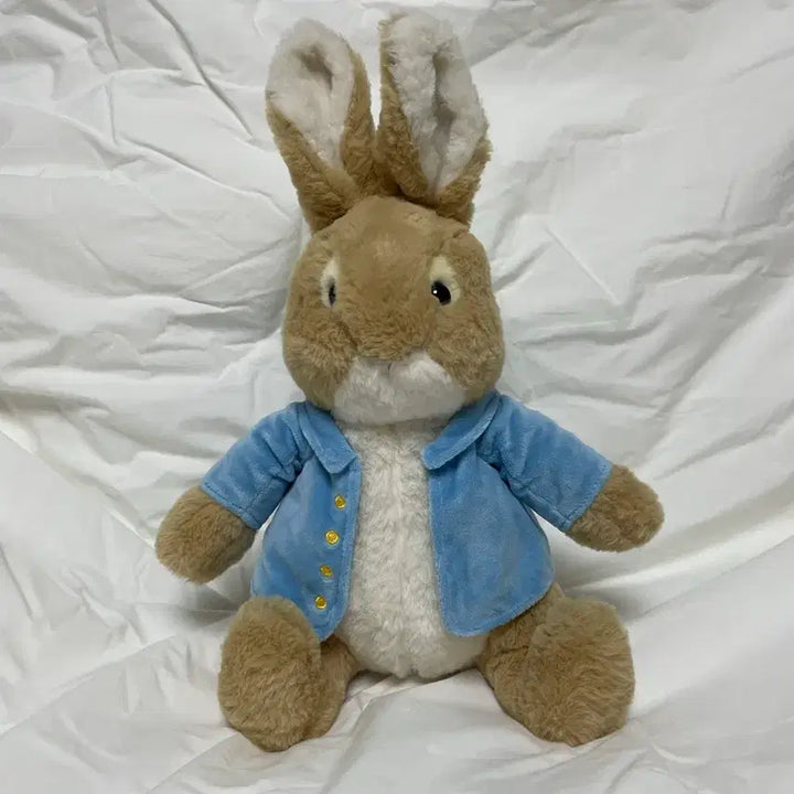 [BUNJANG] Peter Rabbit Medium Plush 27cm / (새상품)피터래빗 인형 중형27cm