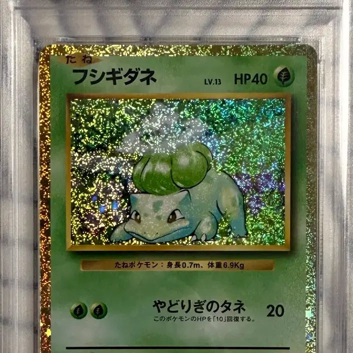 [BUNJANG] Pokémon Classic Bulbasaur PSA 10 / 일판 포켓몬카드 클래식 이상해씨 PSA 10