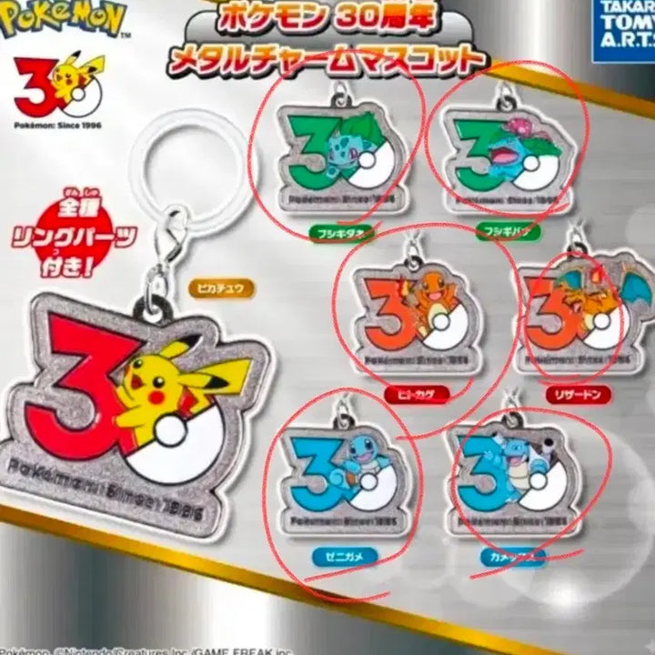 [BUNJANG] Pokemon 30th Anniversary Metal Charm Mascot Bundle Set (Sealed) / (미개봉, 택포) 포켓몬 30주년 메지루시 일괄