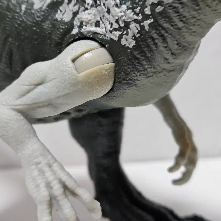 [BUNJANG] Mattel Jurassic World Cretaceous Camp Alosaurus Dinosaur Figure / 마텔 쥬라기 월드 백악기 캠프 알로사우루스 공룡 피규어 장난감 완구