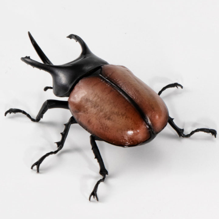 [BUNJANG] Bandai Insect Encyclopedia Stag Beetle Vol. 08, Beckari Stag Beetle / [반다이 생물대도감 장수풍뎅이 08탄] 베카리삼각뿔장수풍뎅이
