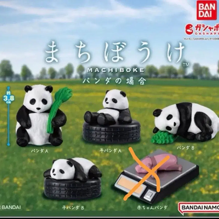 [BUNJANG] Masi Box Panda Gacha Full Set (Excluding X-Chin Baby Panda) / 판다 마치보케 언제오려나 가챠 4종일괄