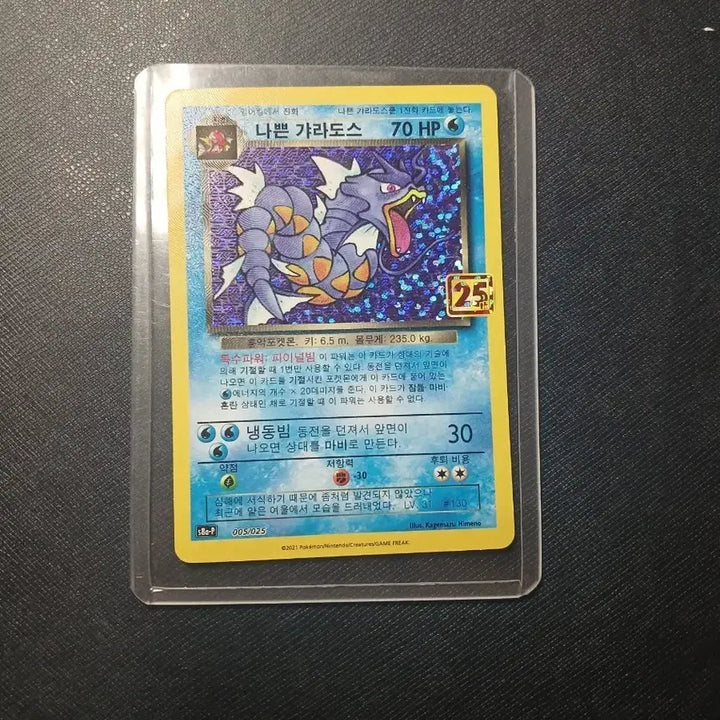 [BUNJANG] 25th Anniversary Charizard (Bad Gyarados) S-Grade Card / 나쁜 갸라도스 s급 25주년 카드