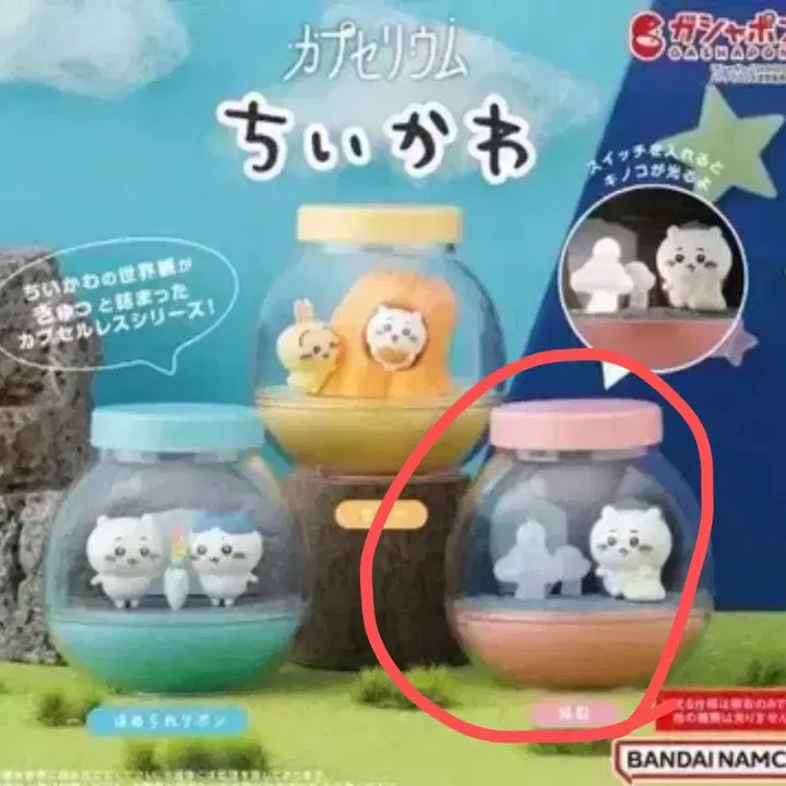 [BUNJANG] Chikawa Capsuleum Terrarium Premium Gacha Light Mushroom / 치이카와 캡슐리움 테라리움 프리미엄 가챠 라이트 버섯 치이카와