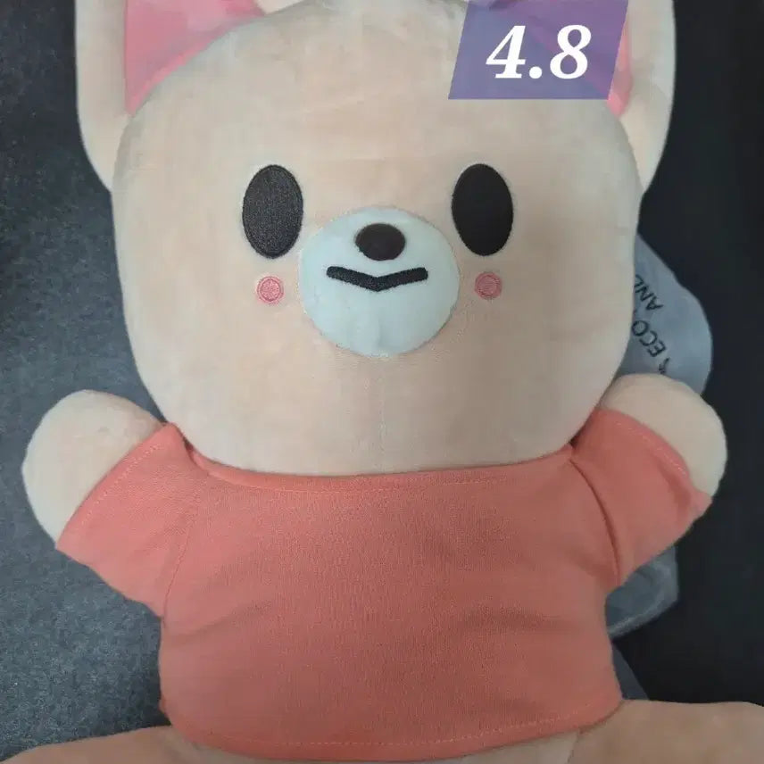 [BUNJANG] Stray Kids I.N Hug Me Doll Plush / 폭시니 아이엔 스키주 스키즈 skz 허그미 나안아 hug me doll 인형