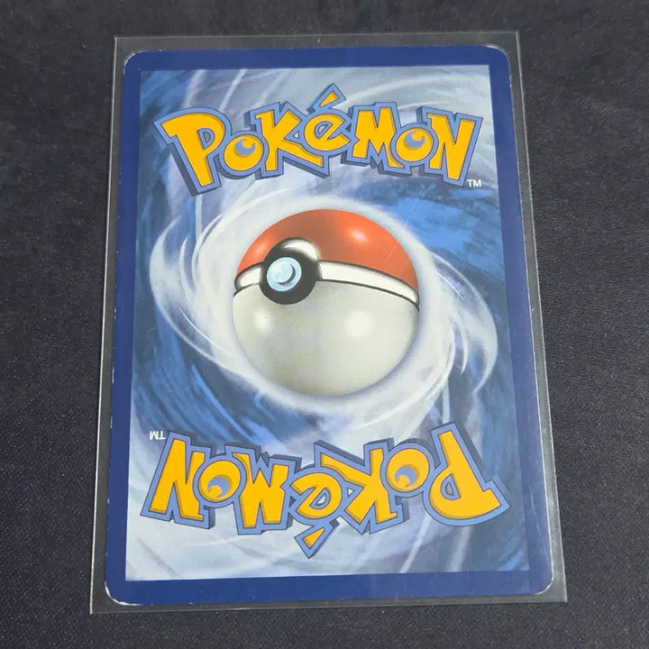[BUNJANG] Pokemon TCG North American Edition Eevee 101/149 / [포켓몬 카드] 북미판 이브이 101/149