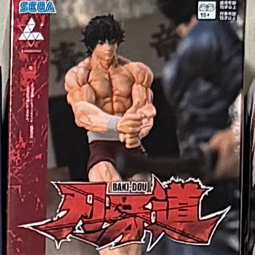 [BUNJANG] Sega Hanma Baki Sealed Figure / (미개봉)세가 바키 한마 피규어