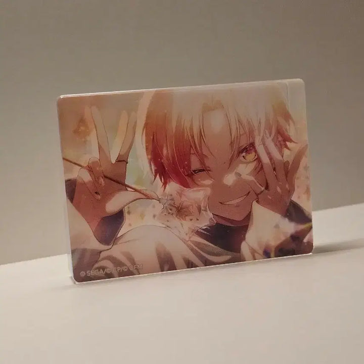 [BUNJANG] Tenma Tsukasa Anniversary Novel Art Postcard / 텐마 츠카사 주년 노블아트 각후