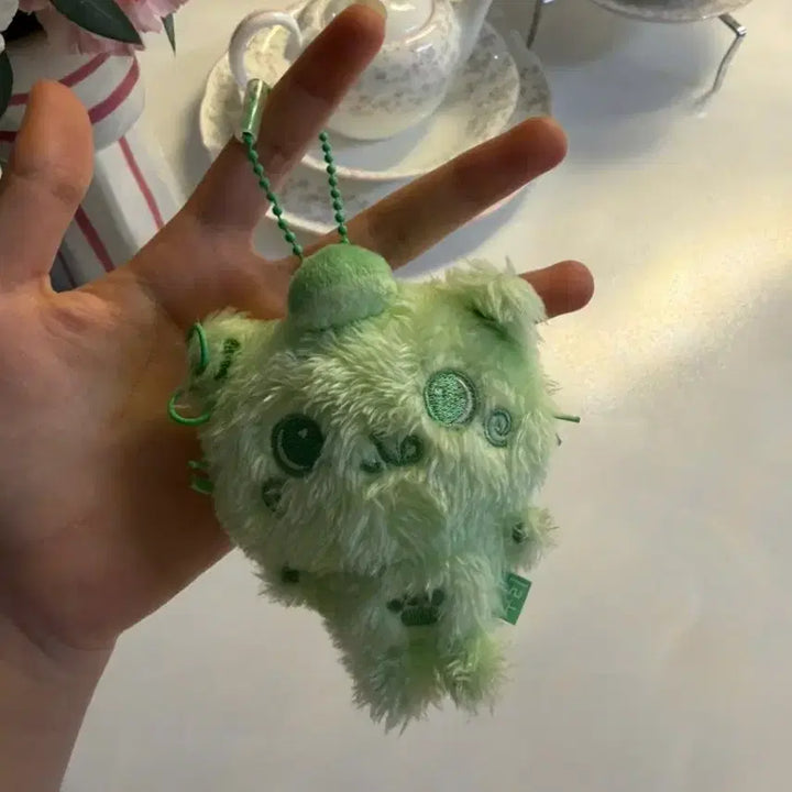 [BUNJANG] Wishdoll Color Kuri Doll / 위시돌 컬러 쿠리 인형