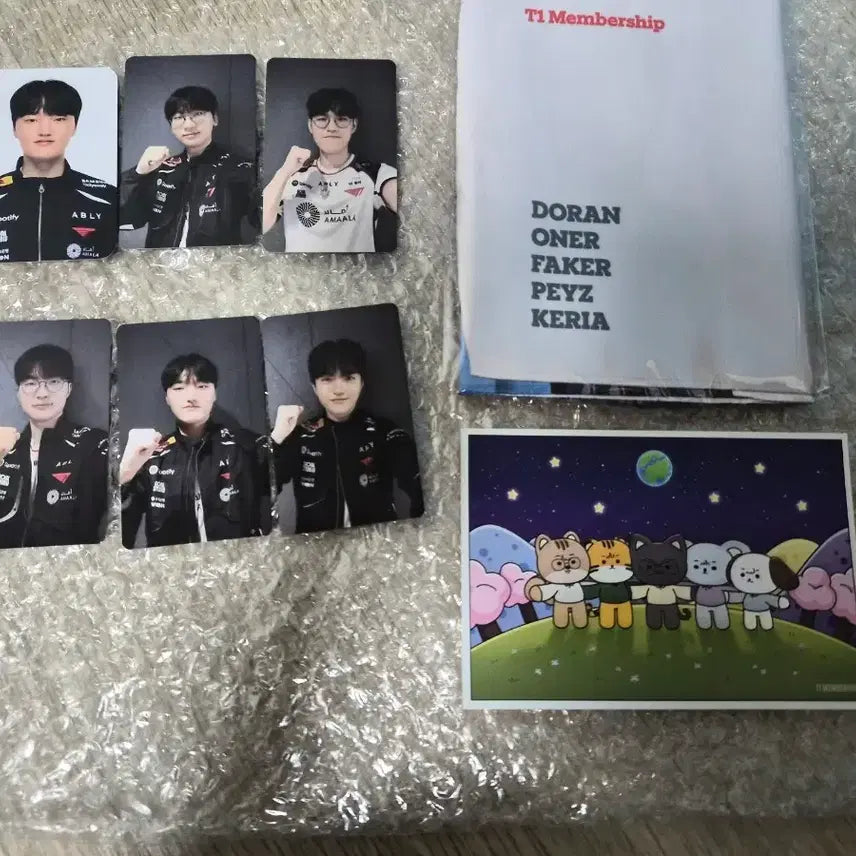 [BUNJANG] T1 Fandom Zone Photocard Set, Slogan, Postcard, Bundle Set / T1 티원존 포토카드 세트 슬로건 8월 온세티 엽서 일괄 양도