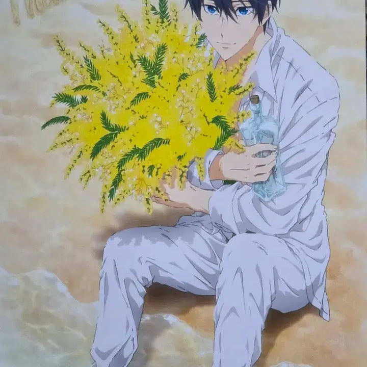 [BUNJANG] Free! Nanase Haruka Birthday Tapestry / Free! 프리 나나세 하루카 생일 태피스트리