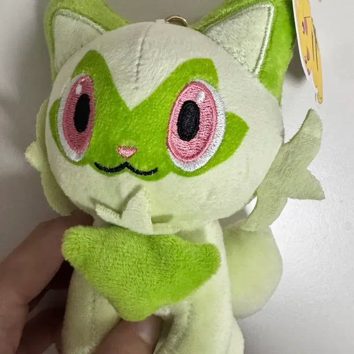 [BUNJANG] Pokemon Meowth Seedot / 포켓몬 나오하 냐오하