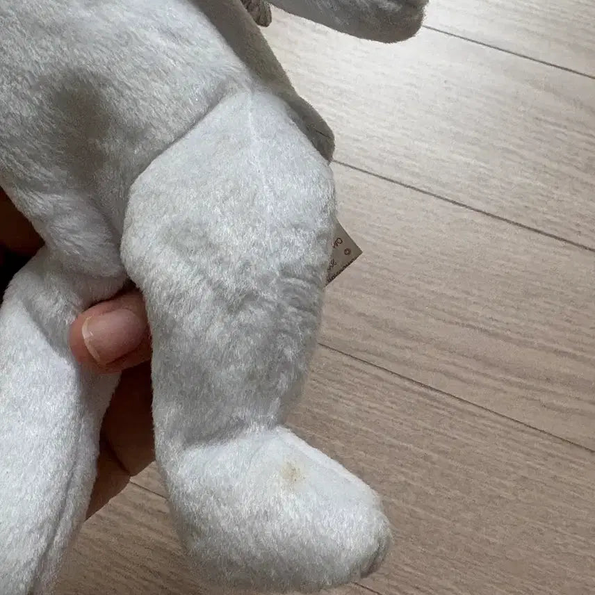 [BUNJANG] TY Angel Bear Doll / 급처) ty인형 천사곰인형