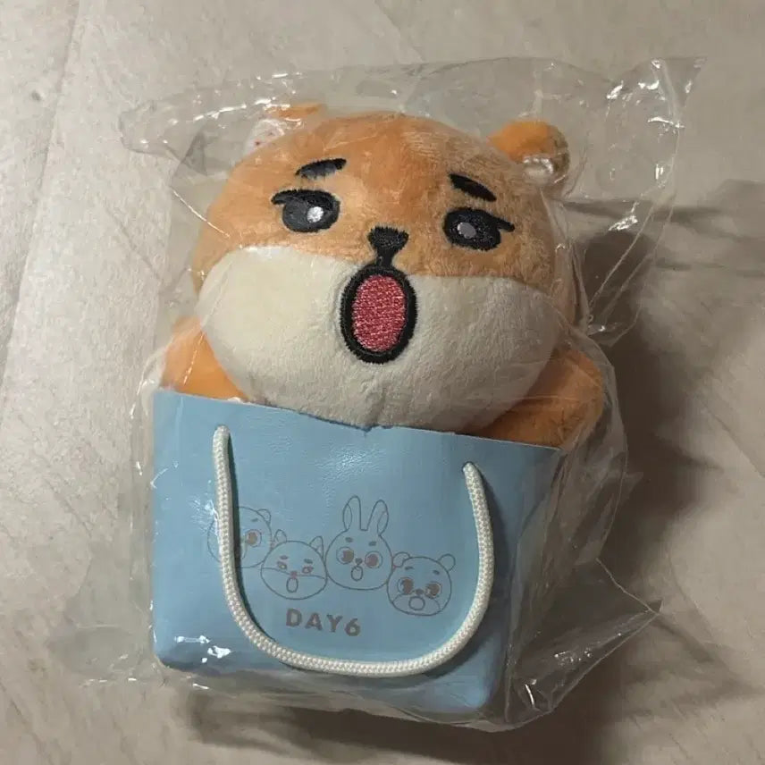 [BUNJANG] Day6 Japan Bag Charm / 데이식스 일본 백참