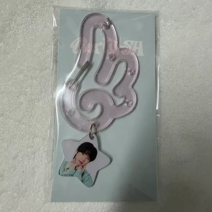 [BUNJANG] NCT WISH Sakuya OurWISH Carabiner (Sealed) / (미개봉/수수료 포함) 엔시티 위시 nct wish 아워위시 일투 사쿠야 카라비너