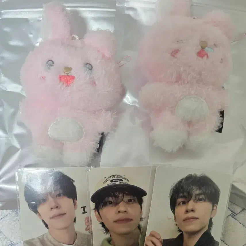 [BUNJANG] DAY6 Wonpil Unfiltered Secret Denimals Keyring Bundle Set / 데이식스 원필 언필터드 시크릿 데니멀즈 키링 쿨쿨필 초롱필 일괄
