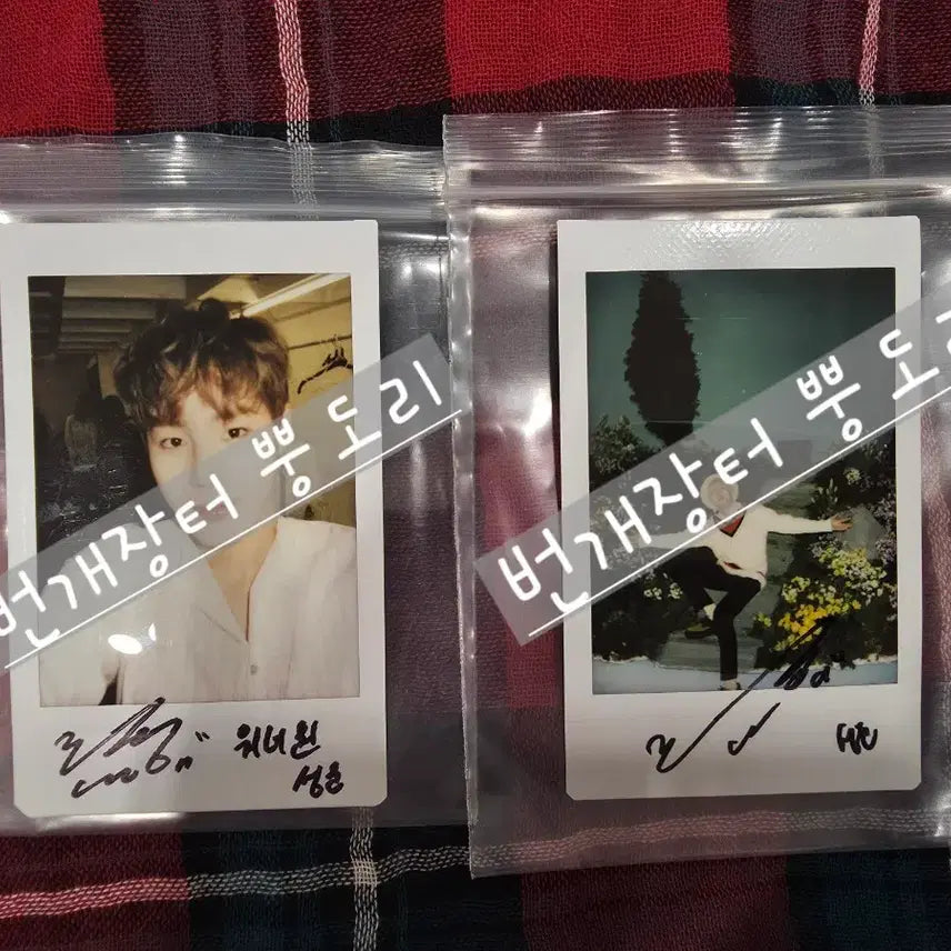 [BUNJANG] Ha Sung Woon Autographed Polaroid Bundle (Energetic/Bird) / 하성운 사인 폴라로이드 일괄(에너제틱/Bird)