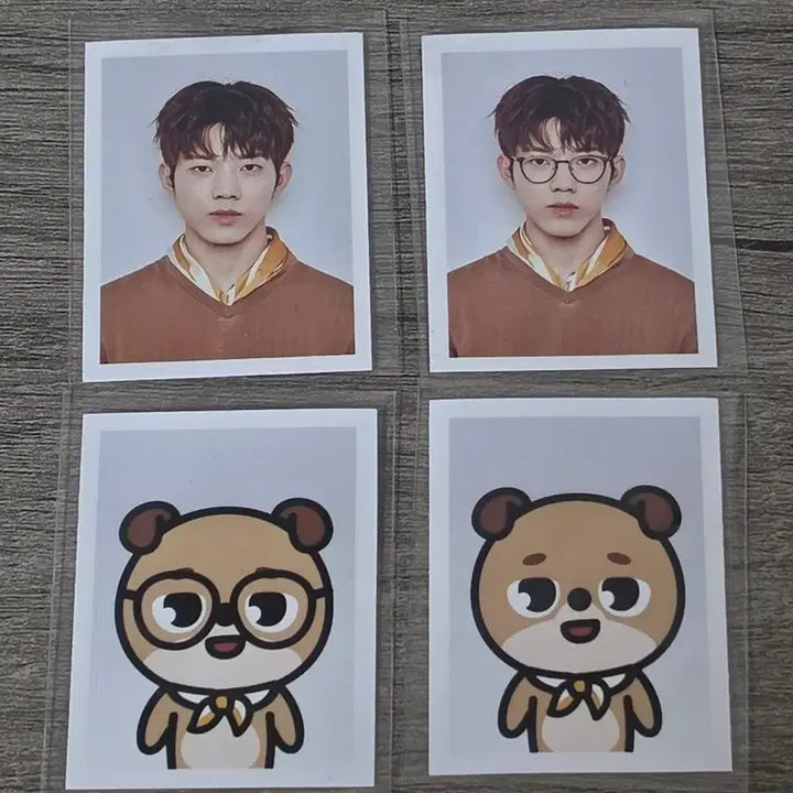 [BUNJANG] Day6 Dowoon 2018 Fanmeeting ID Photos Bundle Set / (일괄) 데이식스 도운 2018 팬미팅 증명사진 증사