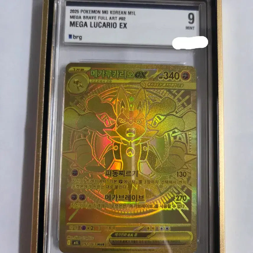[BUNJANG] Mega Lucario EX 