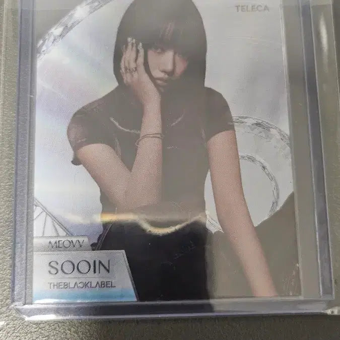 [BUNJANG] Teleca Miyaw Squirrel Die-cut SP Card / 테레카 teleca 미야오 수인 다이컷 sp 카드 팝니다.
