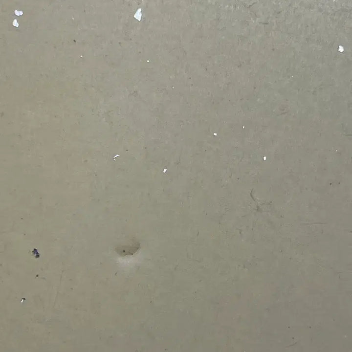 [BUNJANG] Yuki Miku Hatsune Miku Lottery Acrylic Board Bundle Set / 유키미쿠 하츠네미쿠 쿠지 아크릴 색지 일괄