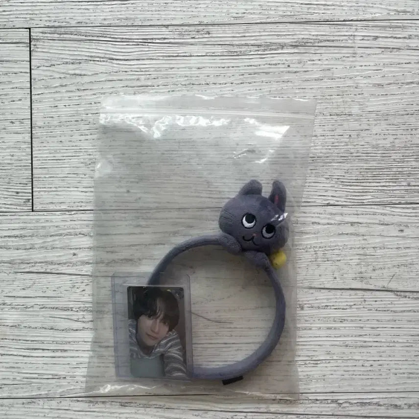 [BUNJANG] RIZE Wonbin Headband Everland Photocard Set / 토냥덕 머리띠 라이즈 원빈 에버랜드
