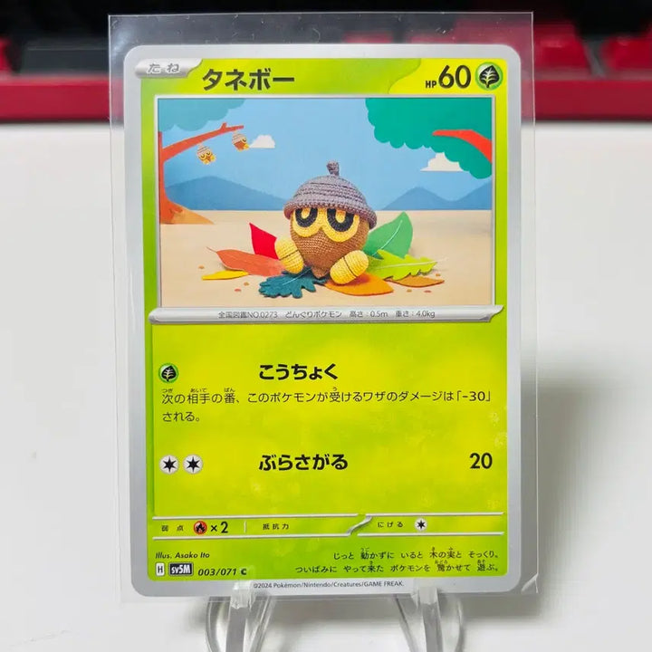 [BUNJANG] Pokemon Card Japanese Edition Asako Ito Dottler / (일판) 포켓몬카드 아사코이토 작가 도토링