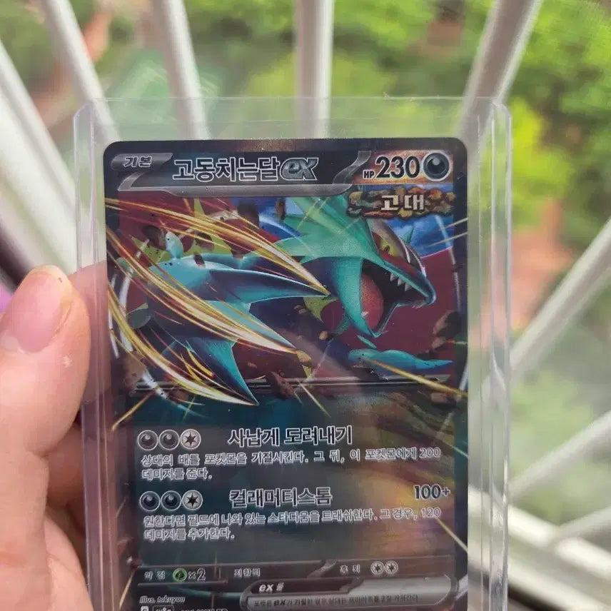 [BUNJANG] Pokemon Card Thundering Moon EX RR Card / 포켓몬카드 고동치는달 EX RR카드