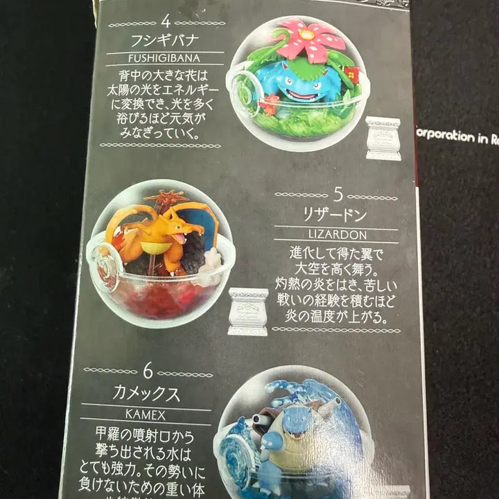 [BUNJANG] Pokemon Charizard Terrarium Figure / 테라리움 리자몽 피규어