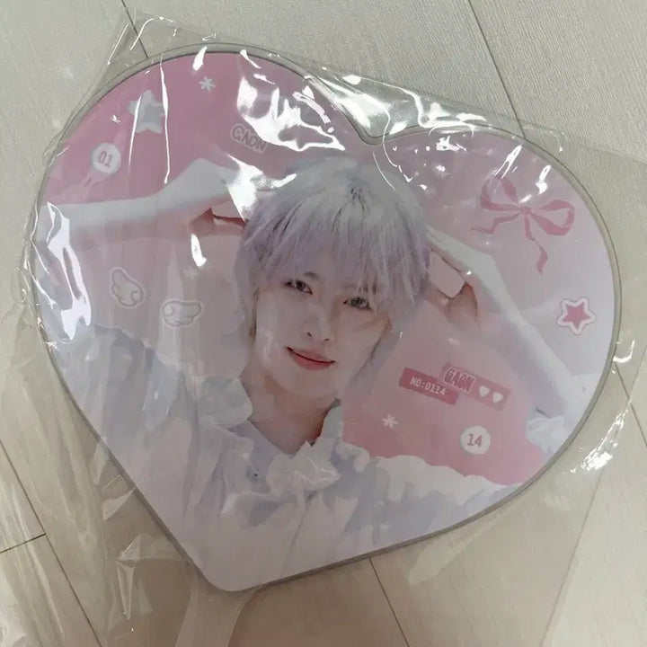 [BUNJANG] AKZ IZ Uchiwa Fan / 엑디즈 가온 우치와 양도