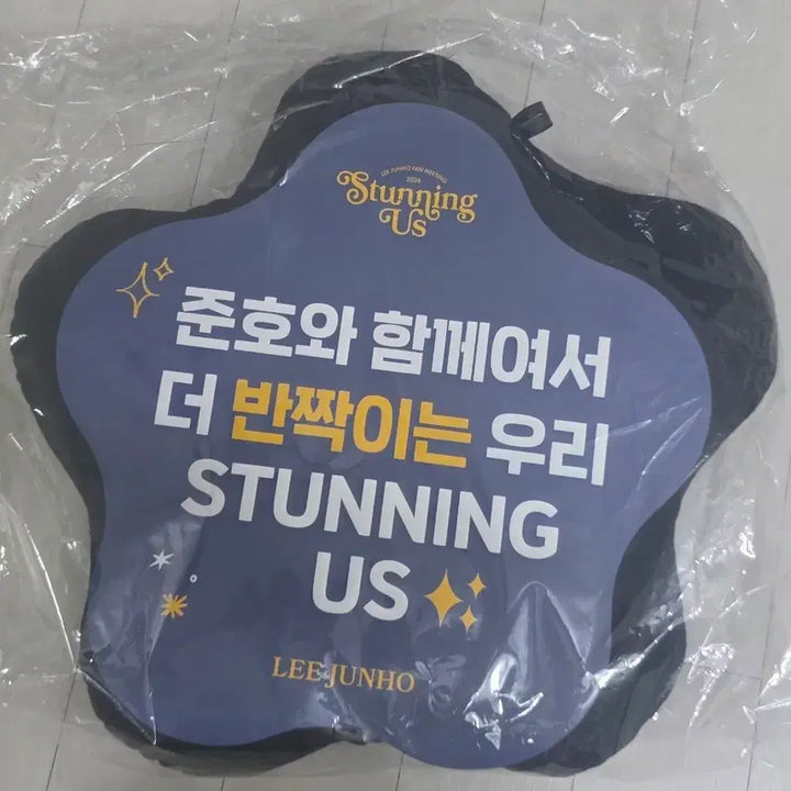 [BUNJANG] 2PM Junho Stunning East Concert Seat Cushion / 이준호 스터닝어스 콘서트 방석(새상품)